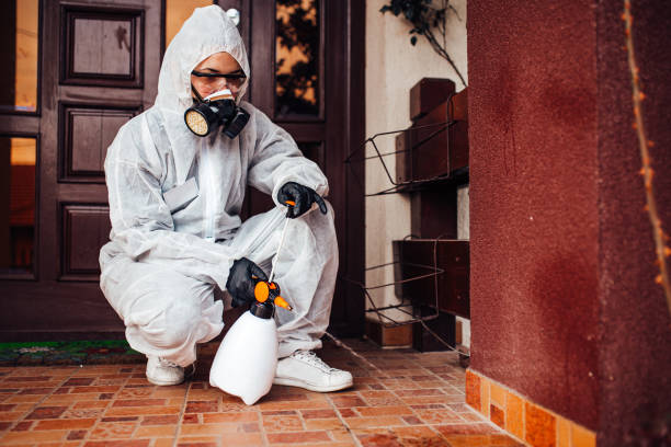 Reliable Wasp Removal contractor in Jordan, MN by Show Me Pest Control